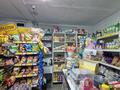 Продуктовый магазин · 27.6 м², бағасы: 28 млн ₸ в Семее — фото 2