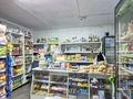 Продуктовый магазин · 27.6 м², бағасы: 28 млн ₸ в Семее — фото 3