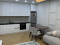 2-комнатная квартира · 42 м² · 9/12 этаж, мкр Акжайык, К. Толеметова 7 блок за 320 000 ₸ в Шымкенте, Абайский р-н — фото 3