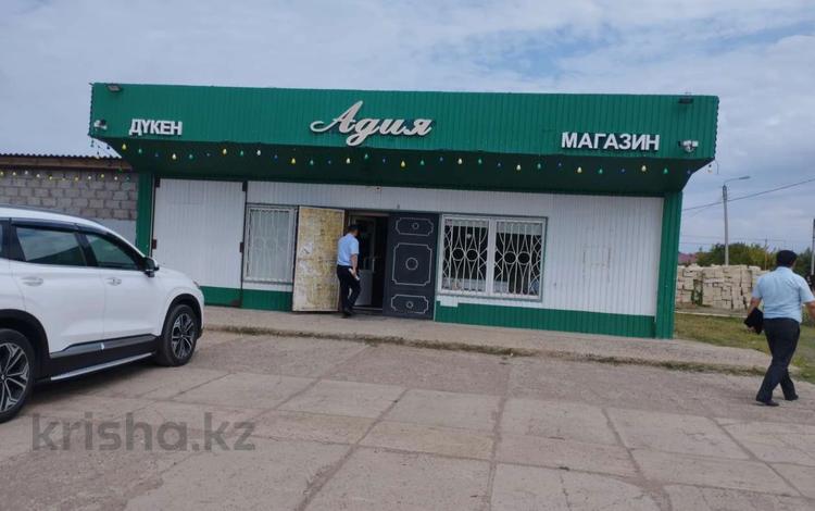 Дүкендер мен бутиктер · 83.3 м², бағасы: ~ 7 млн ₸ в Большом Чагане — фото 2