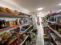 Магазины и бутики · 82 м² за 45.5 млн ₸ в Алматы, Наурызбайский р-н — фото 13