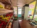 Магазины и бутики · 82 м² за 45.5 млн ₸ в Алматы, Наурызбайский р-н — фото 22