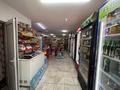 Магазины и бутики · 82 м² за 45.5 млн ₸ в Алматы, Наурызбайский р-н — фото 6