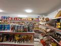 Магазины и бутики · 82 м² за 45.5 млн ₸ в Алматы, Наурызбайский р-н — фото 7