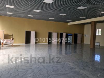 Магазины и бутики · 620 м² за 1.6 млн ₸ в Сатпаев