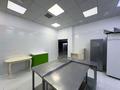 Общепит · 127.3 м² за 87 млн ₸ в Астане, Есильский р-н — фото 9