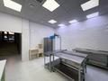 Общепит · 127.3 м² за 87 млн ₸ в Астане, Есильский р-н — фото 17