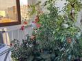 2-бөлмелі пәтер · 50 м² · 11/13 қабат, Бейбарыс Султан 11, бағасы: ~ 27.6 млн ₸ в Астане, Сарыарка р-н — фото 5
