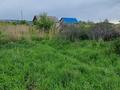 Участок · 10 соток, Кокшетау за 990 000 ₸