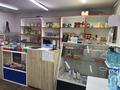 Магазины и бутики · 60 м² за 185 000 ₸ в Алматы, Алатауский р-н — фото 4