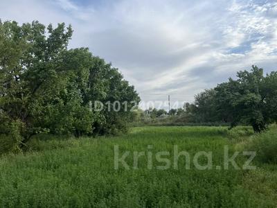 Отдельный дом · 6 комнат · 250 м² · 50 сот., ул. Мазхожаева 20 за 8.5 млн ₸ в Кызылординской обл.