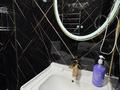 1-комнатная квартира · 40 м² · 1/8 этаж, Микрорайон 4 61/1 — Жетысу базар за 15 500 〒 в Конаеве — фото 11