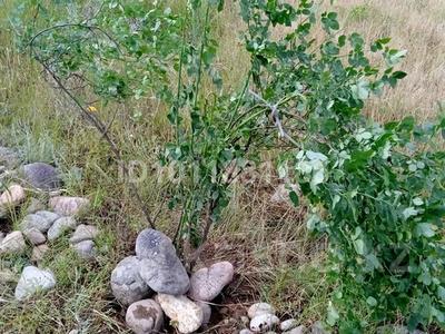 Участок · 8 соток, Акши за 500 000 ₸