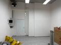 Свободное назначение · 176 м² за 800 000 ₸ в Алматы, Алмалинский р-н — фото 8