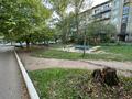 2-комнатная квартира · 45 м² · 1/5 этаж, Потанина 31 за 14.6 млн ₸ в Усть-Каменогорске — фото 24