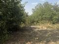 Участок · 6 соток, мкр Таусамалы за 15 млн ₸ в Алматы, Наурызбайский р-н