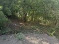 Участок · 6 соток, мкр Таусамалы за 15 млн ₸ в Алматы, Наурызбайский р-н — фото 3