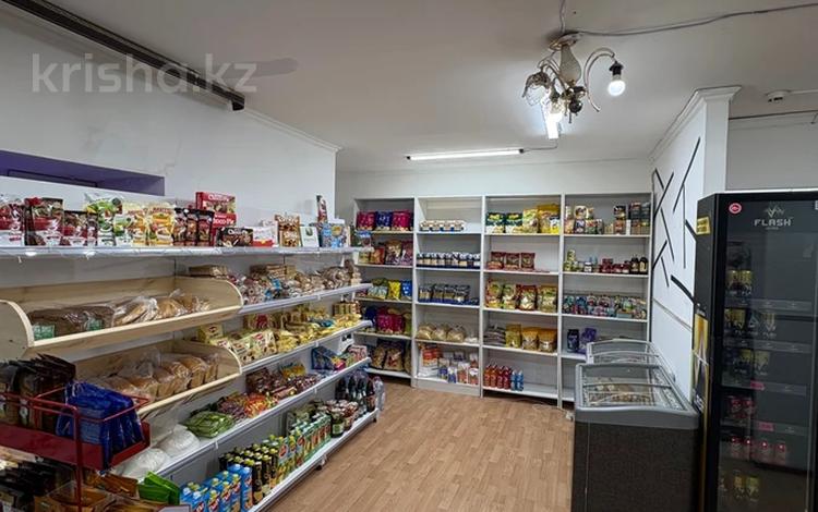 Продуктовый магазин ‼️‼️ · 53 м² за 4.3 млн 〒 в Астане, р-н Байконур — фото 2