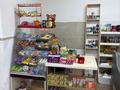 Продуктовый магазин ‼️‼️ · 53 м² за 4.3 млн 〒 в Астане, р-н Байконур — фото 8