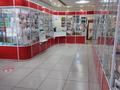 Медцентры и аптеки · 95 м² за 55 млн ₸ в Щучинске — фото 4