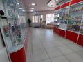 Медцентры и аптеки · 95 м² за 55 млн ₸ в Щучинске — фото 6