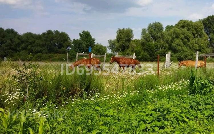 Участок · 14 соток, Автомобилист 2 за ~ 2.3 млн ₸ в Актобе — фото 5