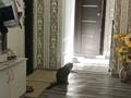 2-бөлмелі пәтер · 52.4 м² · 9/10 қабат, 9-ші шағым аудан 6 — 15 маг.,оил центр,.ТД Азия, бағасы: 25 млн ₸ в Костанае, 9-й микрорайон — фото 9