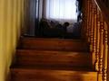 Жеке үй · 7 бөлме · 150 м² · 5 жүзд., Иванова, бағасы: 58 млн ₸ в Алматы, Турксибский р-н — фото 12