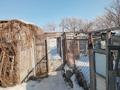 Отдельный дом · 3 комнаты · 33.2 м² · 6 сот., Набережная 137 за 9.5 млн ₸ в Затобольске (Тобыле) — фото 16