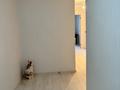 2-бөлмелі пәтер · 52.2 м² · 2/12 қабат, Косшыгулы 19/4, бағасы: 36 млн ₸ в Астане, Сарыарка р-н