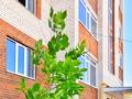 3-комнатная квартира · 94 м² · 1/5 этаж, мкр. Алтын орда 2 Г за 27 млн ₸ в Актобе — фото 6