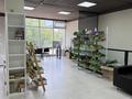 Свободное назначение · 185 м² за 600 000 ₸ в Астане, р-н Байконур — фото 3