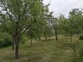 Саяжай · 3 бөлме · 60 м² · 15 жүзд., 5, бағасы: 5.8 млн ₸ в Турарских дач — фото 9