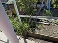 Дача · 4 комнаты · 45 м² · 6 сот., 2-я ул. 32 за 5 млн ₸ в Усть-Каменогорске, Ульбинский — фото 3