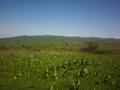 Ауыл шаруашылығы • 12000 м², бағасы: 28 млн 〒 в Талгаре — фото 3