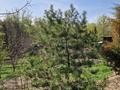 Отдельный дом · 4 комнаты · 100 м² · 6 сот., Дачная 34 за 10.2 млн ₸ в  — фото 4