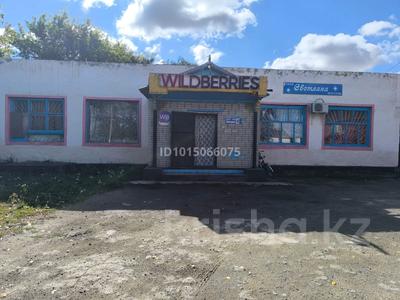 Магазины и бутики · 180 м² за 22 млн ₸ в Садчикове