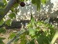 Жеке үй · 6 бөлме · 255 м² · 12 жүзд., Арман 427/428 — На против Кайрат СТО, бағасы: 30 млн ₸ в Атамекене — фото 43