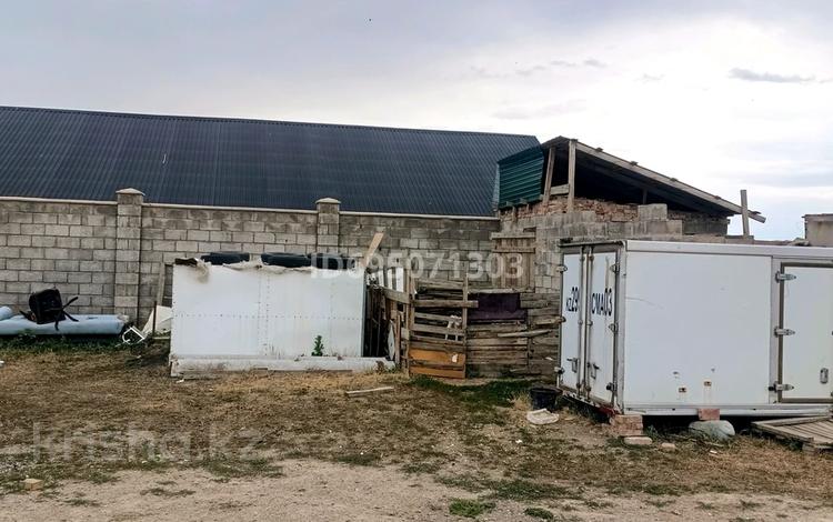Отдельный дом · 5 комнат · 125 м² · 1000 сот., Көк төбе 14 за 15 млн ₸ в Умбетали — фото 3