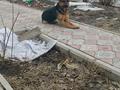 Дача · 4 комнаты · 130 м² · 12 сот., В пяти км. от продовольственного супермаркета"Дина", в двух км. от Самарской трассы вверх по правому берегу Чагана за 52 млн ₸ в Уральске — фото 14
