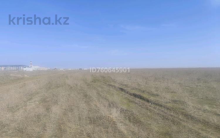Жер телімі · 50 га, Жаналык (Талгарский район), бағасы: ~ 1.6 млрд ₸ — фото 3