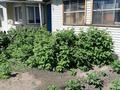 Отдельный дом · 3 комнаты · 62 м² · 5 сот., улица Покрышкина 24 — Д.К.М за 17.5 млн ₸ в Усть-Каменогорске — фото 18