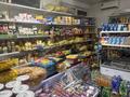 Магазины и бутики · 55 м² за 450 000 ₸ в Алматы, Медеуский р-н — фото 3