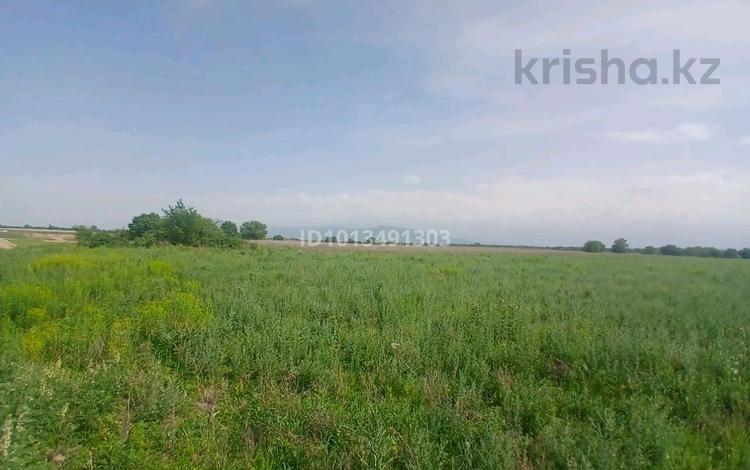 Жер телімі · 1.3 га, Кульджинский Тракт, бағасы: 80 млн ₸ в Талгаре — фото 2
