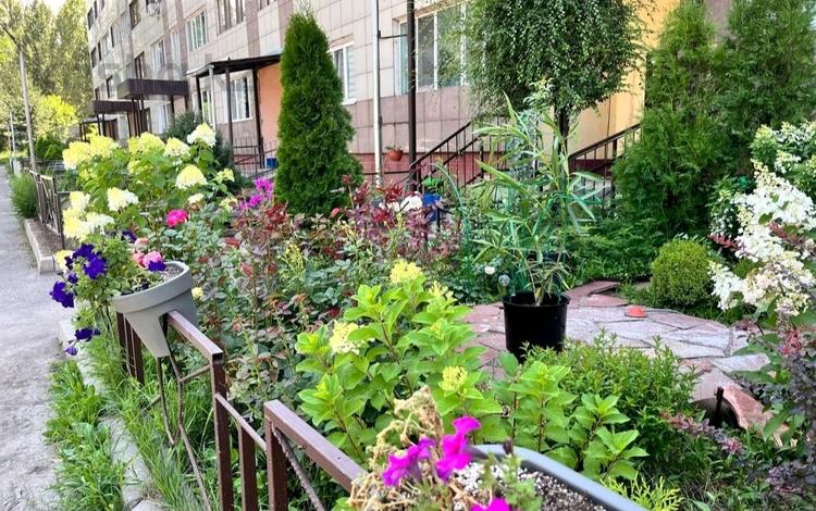 2-комнатная квартира · 70.1 м² · 3/5 этаж, мкр Самал-3, Достық 117/5 за 73.5 млн ₸ в Алматы, Медеуский р-н — фото 22
