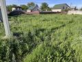 Жер телімі · 9 сотық, Байтерек (Новоалексеевка), бағасы: 9 млн ₸ — фото 4