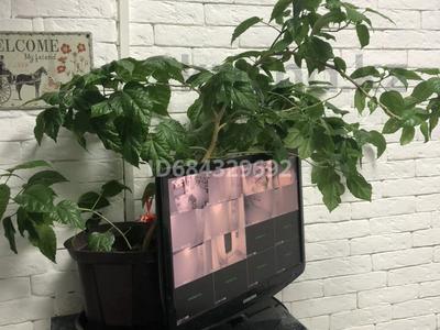 1-комнатная квартира · 20 м², Сейфуллина 232 — Сейфуллина Рыскулова за 70 000 〒 в Алматы, Турксибский р-н