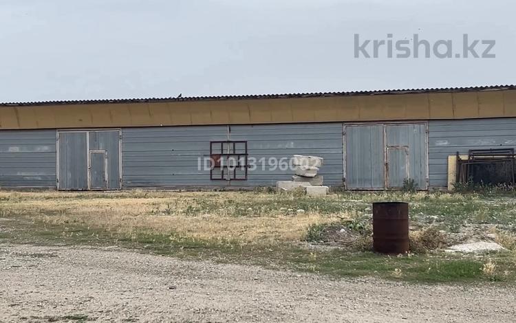 Склады · 180 м² за 180 000 ₸ в Гродеково — фото 3