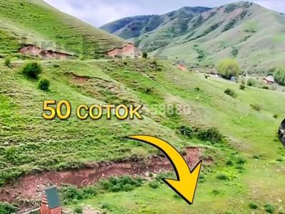 Участок · 50 соток, Колсай 50 — Село Саты Көлсай за 15 млн ₸