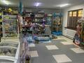 Магазины и бутики · 100 м² за 38 млн ₸ в Талгаре — фото 5